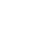 brain